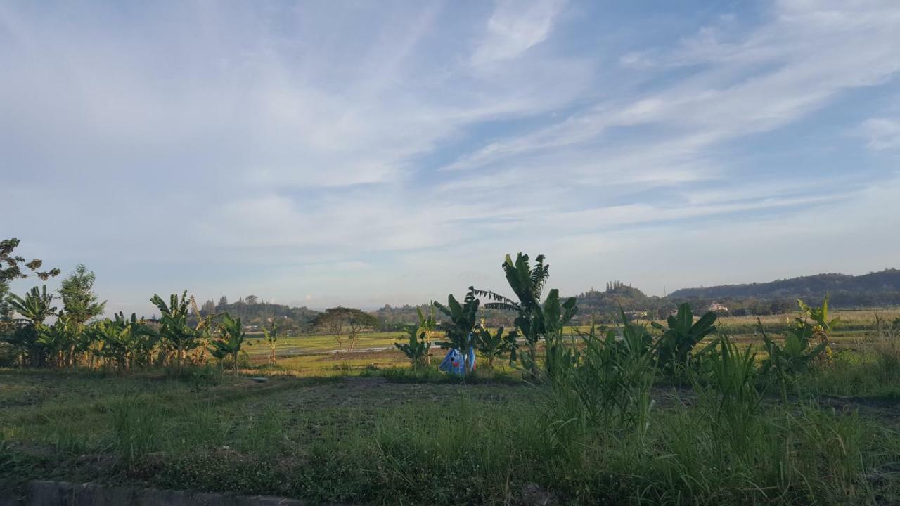 Villa Kayu يوغياكارتا المظهر الخارجي الصورة