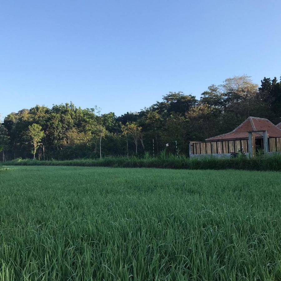Villa Kayu يوغياكارتا المظهر الخارجي الصورة